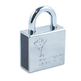 206sp-c10pc1-d Mul-t-lock 610441392703 Padlock Standard Pop Shackle 3/8 Inch 1-1/4 Clearance #2