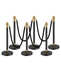 Vevor 6PCS Stanchion Posts Queue Barrier Crowd Control Sand Injection Base. Fixed Price $93.90.
