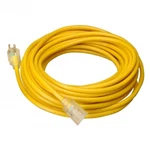 Coleman U-ground 10GAUGE 15AMP Extension Cord 50'. Fixed Price $101.31.